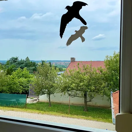 Belle Vue Hébergement de vacances *